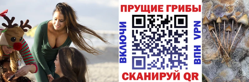 что такое наркотик  Вуктыл  Галлюциногенные грибы прущие грибы 